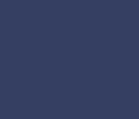Navy solid