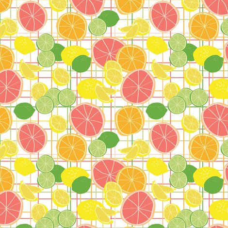 Rcitrus_shop_preview