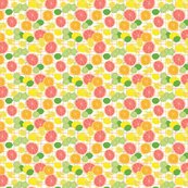 Rcitrus_shop_thumb
