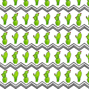 Cactus Chevron