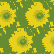 sunflowers outline