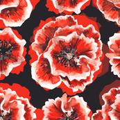 bold_poppies