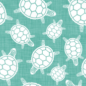 North West_TURTLES_turquoise