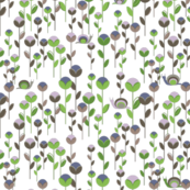 Snail Garden (cool)
