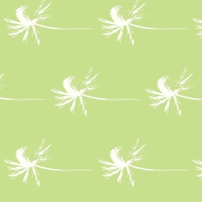 Green Sea Holly