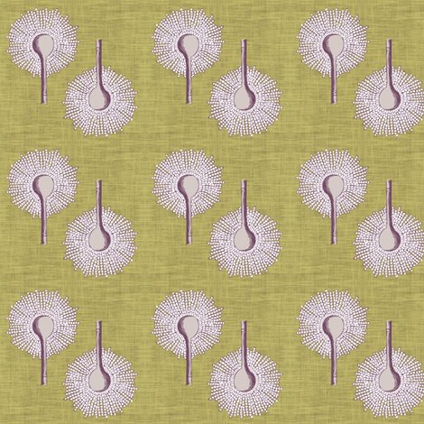 Raspergillus2a_shop_preview