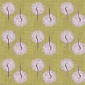 Raspergillus2a_shop_thumb