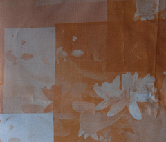 Rrorange_blossom_fantasy_comment_193102_preview