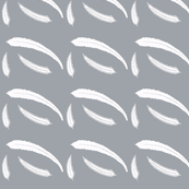 feathers2-ch