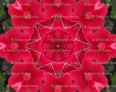 Crabapple blossom kaleidoscope