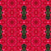 Rcrabapple_blossomssumo_shop_thumb
