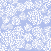 blue_dahlias