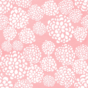 Pink Dahlias