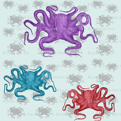 Octopi
