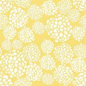 Yellow Dahlias