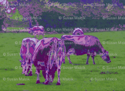 Purple Cows - pillow version