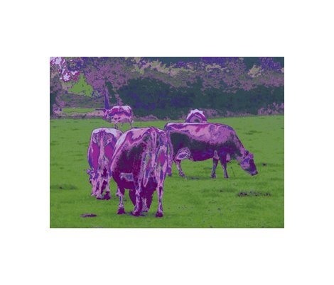Rbig_purple_cowsa_shop_preview