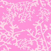 Pink Coral