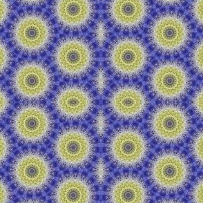 Flower Power - Clematis 12