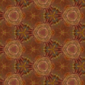 At First Glance . . . Brown Roses?