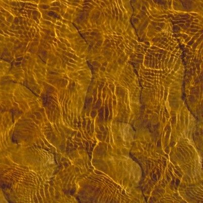 Ripples