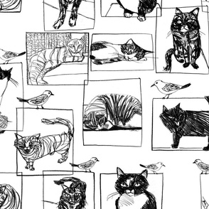 kitty sketchbook
