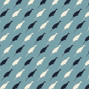 Mr. Narwhal