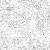 Ds_05
