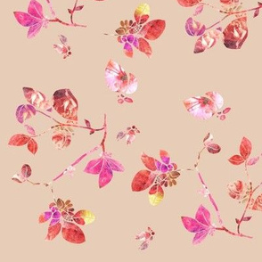 Blossom (rose)