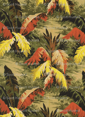 tropical-ch