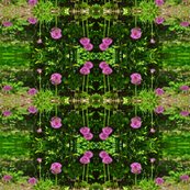 Rdscn1898_shop_thumb