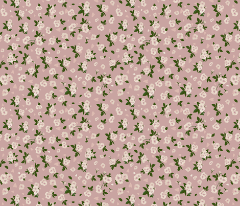 ribar rose