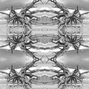 Alien Landscapes 2