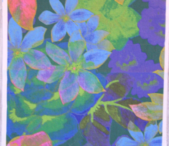 Rfloral_comment_178681_preview