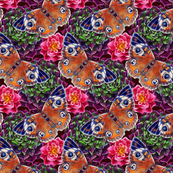 Butterflies2