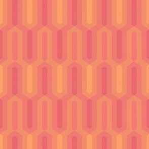 11_architect_salmon