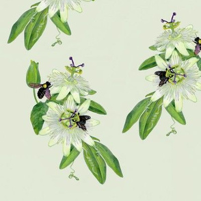 carpenter bee poplin