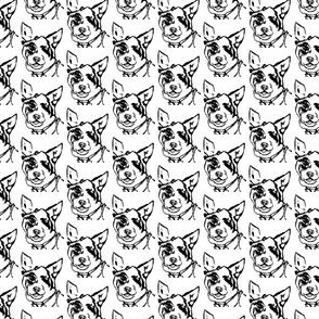black_and_white_dog
