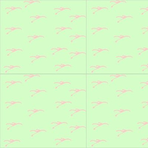 preppydactyl
