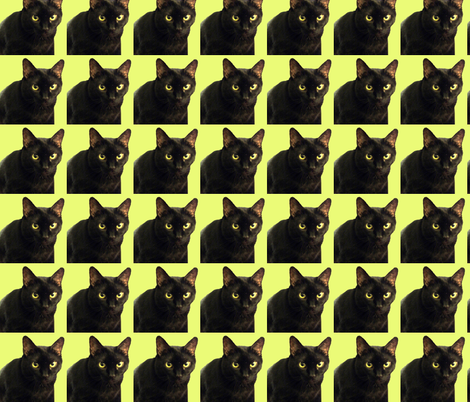 Velvet the Cat 5 Lime Green