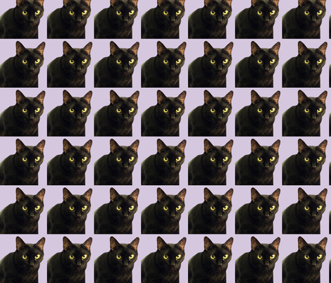 Velvet the Cat 7 Lavendar/Purple