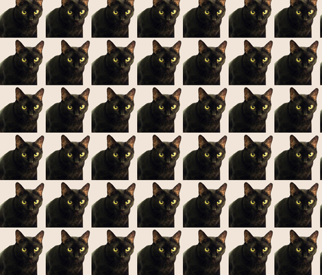 Velvet the Cat 13 Pink