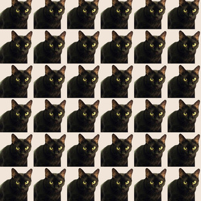 Velvet the Cat 13 Pink