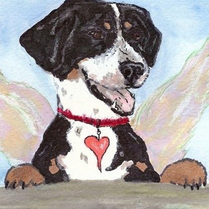 dog