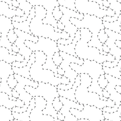 bird_prints
