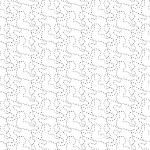bird_prints