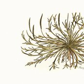 Rrrbotanical_pillow_panel_shop_thumb
