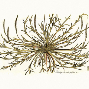 botanical pillow panel 1