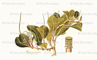 botanical pillow panel 2