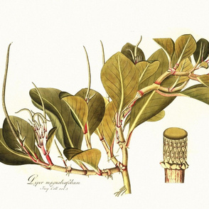 botanical pillow panel 2